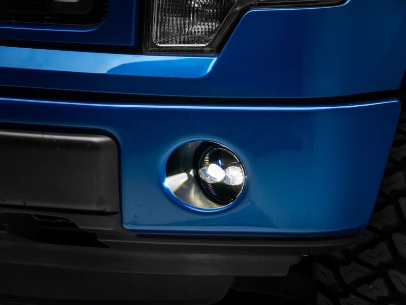 Photo - Close Up