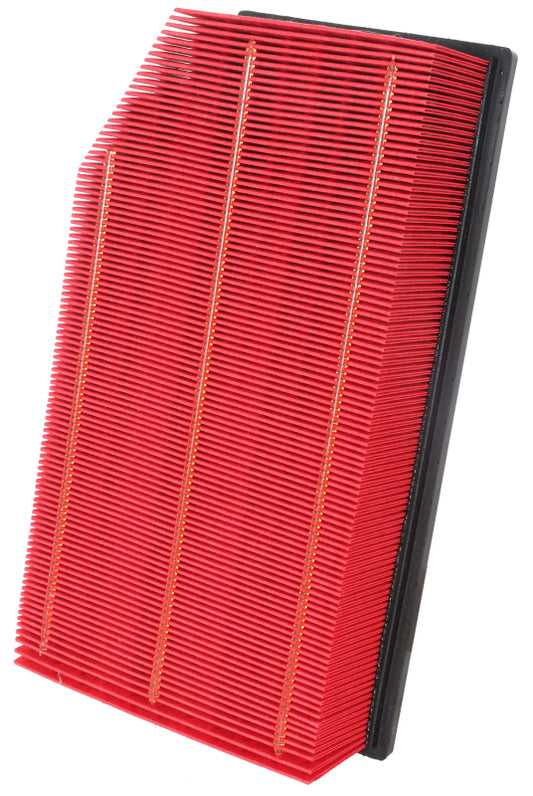 Photo - Primary